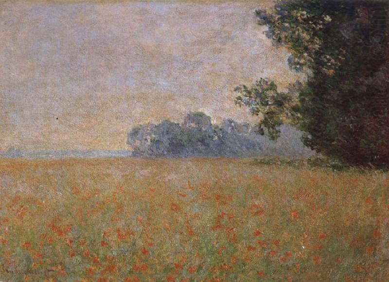 Claude Monet Oat and Poppy Field china oil painting image